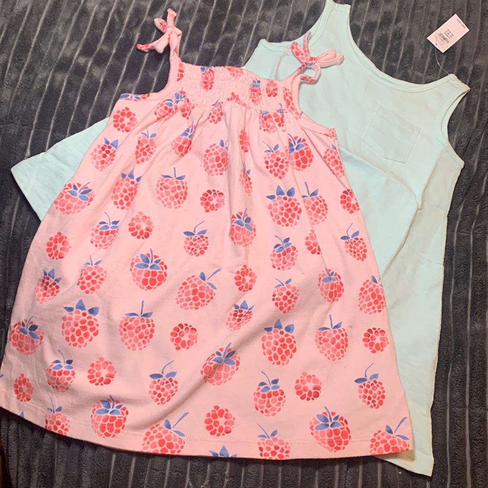 NWT 2 BabyGap 2YR Dresses